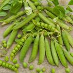 Légumes Secs - Pois Douce Provence - 20 m - face recto